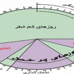 تخمکگذاری چه روزی از سیکل قاعدگی است؟